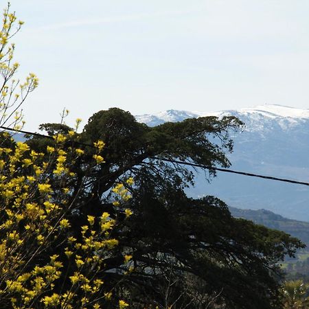 Quartos Em Vivenda Serra Da Estrela Celorico Da Beira Εξωτερικό φωτογραφία